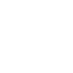 icon1